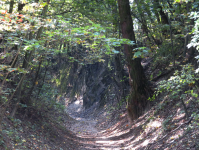 Hohlweg